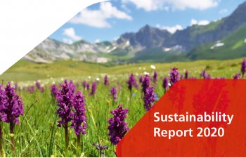 Header News Sustainability Report high res